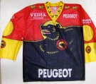 Trikot SC Bern Saison 1995/96 (Brust-Sponsor: Vedia + Peugeot) und Aermel: Canon, Grösse L, Blacky)