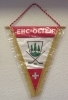 EHC Olten  (Stoffwimpel mit zwei verschiedenen Logos in Plastikhülle ca. 1990)