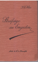 Streifzuege im Engadin