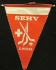 SEHV - LSHG (Schweizer Eishockey Verband, Wimpel / Fanion)