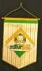 Hockey Club Thurgau (Wimpel, Banderina, Fanion ca. 1980)