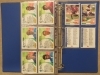 Official Football Cards 1994 - Collection de 280 cartes Football Francais (classeur complet avec les cartes Panini)