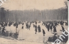 L’hiver a la Plaine (sur le Lac de Sauvabelin Lausanne en 1906, carte postale)
