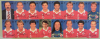 Swiss Team Sammelbilder Schweizer Nati 1996 (Konvolut von 14 Bilder)
