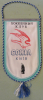 Sokol Kiev Club (Wimpel, Pennant, Fanion)