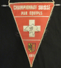 Championnat Suisse cyclisme par equipes Genève 1973 (Fanion, Wimpel, Pennant)