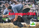 Estavayer 2016 - Une passion, des emotions / Leidenschaft und Emotionen