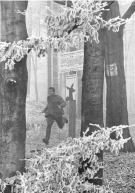 Muhammad Ali, Zuerich, 26.12. 1971 (Picture book, English Edition)