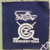 Stoffpadge; Grasshopper Club Zürich - Icehockey-Team