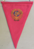 Sowjetunion + Eishockey WM 1-10. 12. 1969 (Kleiner Wimpel, Pennant + Pin CCCP Ice Hockey Federation)